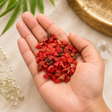 Natural Red Coral Chips – Moonga for Courage & Drive – view 4
