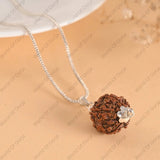 5 Mukhi Rudraksha - WorldOfOorja
