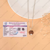 5 Mukhi Rudraksha - WorldOfOorja