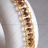 5 Mukhi Rudraksha Bracelet - WorldOfOorja
