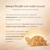 World of Oorja Citrine and Pyrite tortoise combo for wealth attraction and abundance