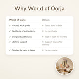 Why World of Oorja – 7 Chakra Crystal Tree
