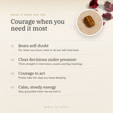 Tiger Eye Tumble Stones benefits – World of Oorja