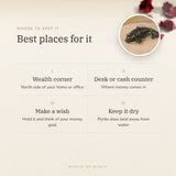 Pyrite Crystal Fish – best places for it, how to use and where to keep it
