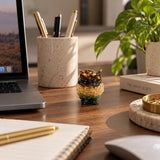 Dhan Yog crystal owl on a work desk next to a laptop
