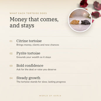 Vastu Wealth Magnet Tortoise Combo benefits – World of Oorja