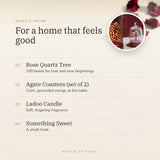 The Home Edit Gift Set benefits – World of Oorja