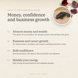 Pyrite Crystal Fish benefits – World of Oorja