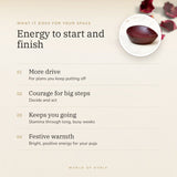 Red Aventurine Crystal Diya benefits – World of Oorja