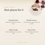 Vastu Pyrite Tortoise – best places for it, how to use and where to keep it