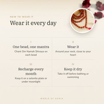 How to wear your Shiv Shakti 5 Mukhi Rudraksha Mala – daily wear, recharge on selenite or moonlight