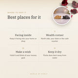Vastu Wealth Magnet Tortoise Combo – best places for it, how to use and where to keep it