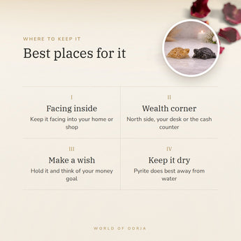 Vastu Wealth Magnet Tortoise Combo – best places for it, how to use and where to keep it