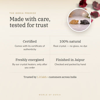 The Oorja promise – Vastu Wealth Magnet Tortoise Combo