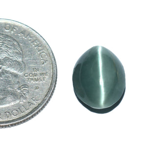 Cats Eye (Lehsunia) (7.69 Carat, 8.38 Ratti) - WorldOfOorja