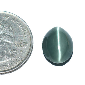 Cats Eye (Lehsunia) (7.69 Carat, 8.38 Ratti) - WorldOfOorja