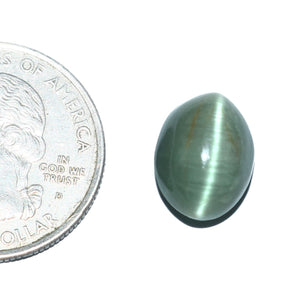 Cats Eye (Lehsunia) (8.18 Carat, 8.91 Ratti) - WorldOfOorja