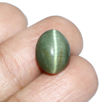 Cats Eye (Lehsunia) (8.18 Carat, 8.91 Ratti) - WorldOfOorja