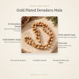 Know your Devadaru Mala – 54 Himalayan cedar beads, gold-plated caps, lobster clasp, free size