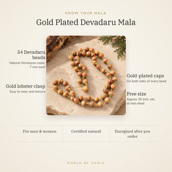 Know your Devadaru Mala – 54 Himalayan cedar beads, gold-plated caps, lobster clasp, free size