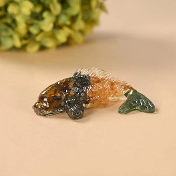 Dhan Yog Crystal Fish – image 1