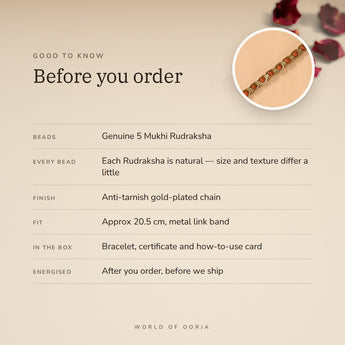 Gold Plated Rudraksha Bracelet – before you order: size, what is in the box, energised after order