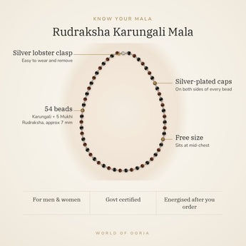 Know your Rudraksha Karungali Mala – beads, finish and fit