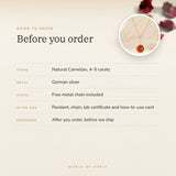 Carnelian Pendant Mini – good to know before you order: what is in the box, energised after order
