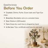 Money Attraction Crystal Tree – good to know before you order