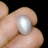 Moonstone (Chandrakant) (6.54 Carat, 7.17 Ratti) - WorldOfOorja