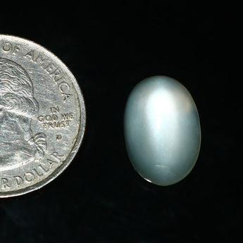 Moonstone (Chandrakant) (6.77 Carat, 7.42 Ratti) - WorldOfOorja