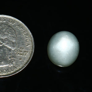 Moonstone (Chandrakant) (7.30 Carat, 8.01 Ratti) - WorldOfOorja