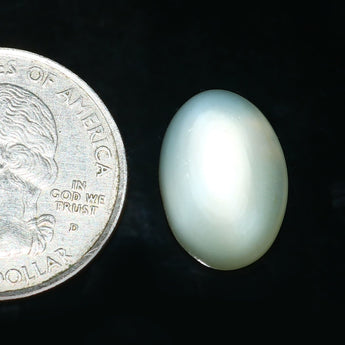 Moonstone (Chandrakant) (7.86 Carat, 8.62 Ratti) - WorldOfOorja