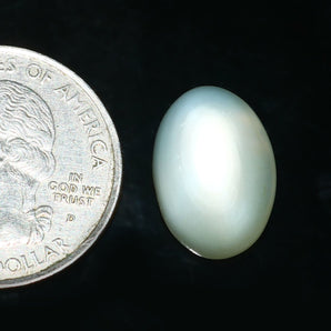 Moonstone (Chandrakant) (7.86 Carat, 8.62 Ratti) - WorldOfOorja