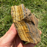 Raw Tiger Eye Cluster - WorldOfOorja