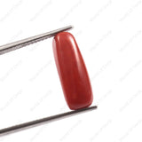 Red Coral (moonga) (4.28 Carat, 4.69 Ratti) - WorldOfOorja