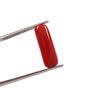 Red Coral (moonga) (7.00 Ratti, 6.42 Carat) - WorldOfOorja