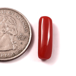 Red Coral (moonga) (7.00 Ratti, 6.42 Carat) - WorldOfOorja