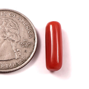 Red Coral (moonga) (7.25 Ratti, 6.65 Carat) - WorldOfOorja