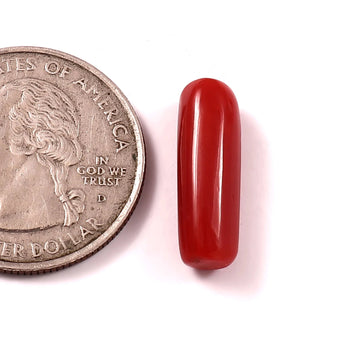 Red Coral (moonga) (7.25 Ratti, 6.66 Carat) - WorldOfOorja