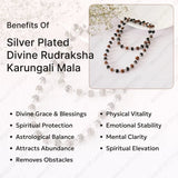 Silver Plated Divine Rudraksha Karungali Mala (Govt. Certified) - WorldOfOorja