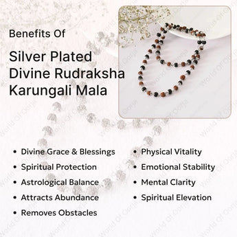 Silver Plated Divine Rudraksha Karungali Mala (Govt. Certified) - WorldOfOorja