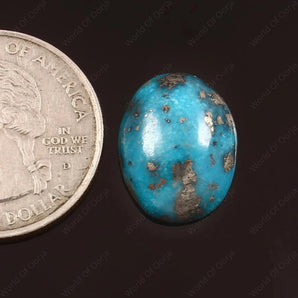 Turquoise (Firoza) (10.40 Carat, 11.33 Ratti) - WorldOfOorja