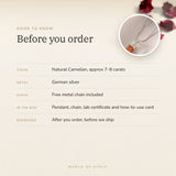 Carnelian Pencil Pendant – good to know before you order: what is in the box, energised after order