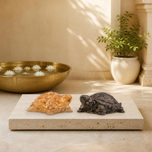 World of Oorja Vastu Wealth Magnet Tortoise Combo with Citrine and Pyrite for prosperity