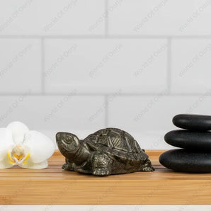 World of Oorja Vastu Pyrite Tortoise