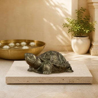Vastu pyrite tortoise included in the Dhan Yog Couple box