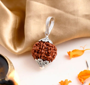 7 Mukhi Rudraksha: The Bead of Wealth and Prosperity - WorldOfOorja