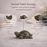 World of Oorja Vastu Pyrite Tortoise