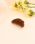 1 Mukhi Rudraksha - WorldOfOorja